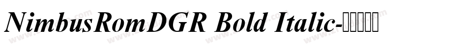 NimbusRomDGR Bold Italic字体转换